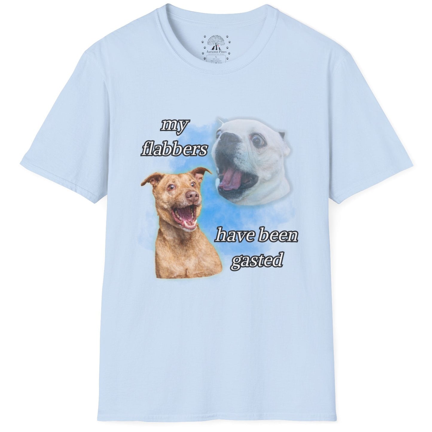 My Flabbers Have Been Gasted T-Shirt