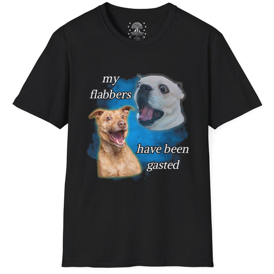 My Flabbers Have Been Gasted T-Shirt