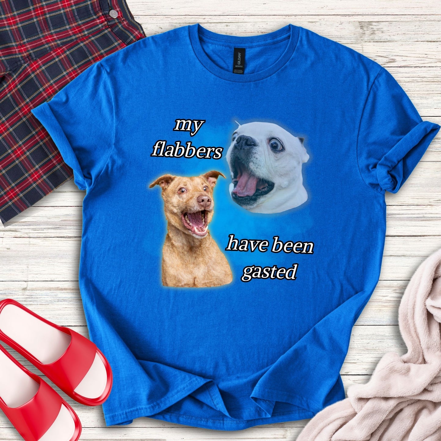 My Flabbers Have Been Gasted T-Shirt
