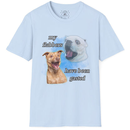 My Flabbers Have Been Gasted T-Shirt