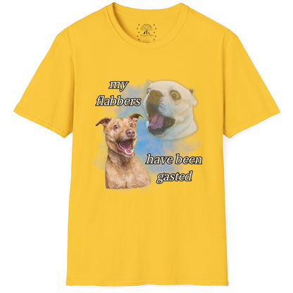 My Flabbers Have Been Gasted T-Shirt
