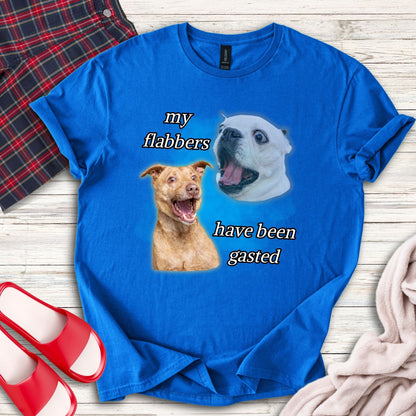 My Flabbers Have Been Gasted T-Shirt
